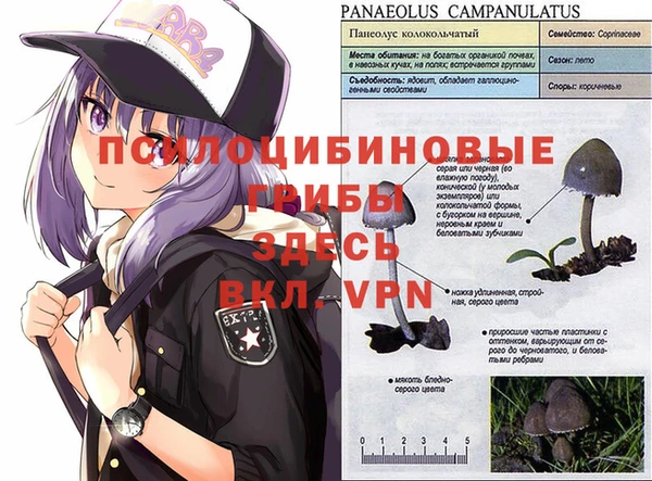 кокаин колумбия Арсеньев