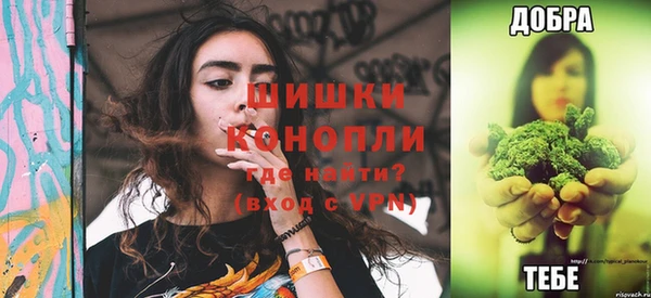 PSILOCYBIN Аркадак