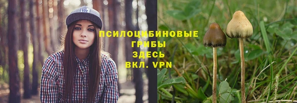 шишки Армянск