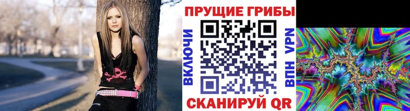 Псилоцибиновые грибы MAGIC MUSHROOMS  как найти наркотики  Качканар 