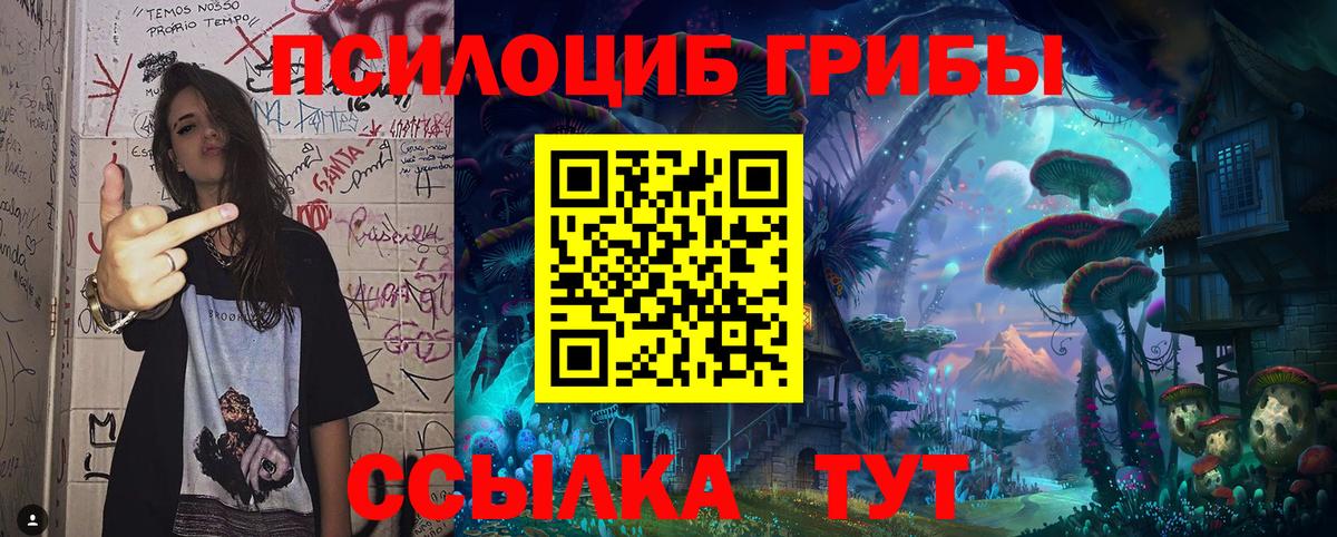 Галлюциногенные грибы MAGIC MUSHROOMS  Псилоцибиновые грибы Psilocybe  Вход с VPN  Качканар 
